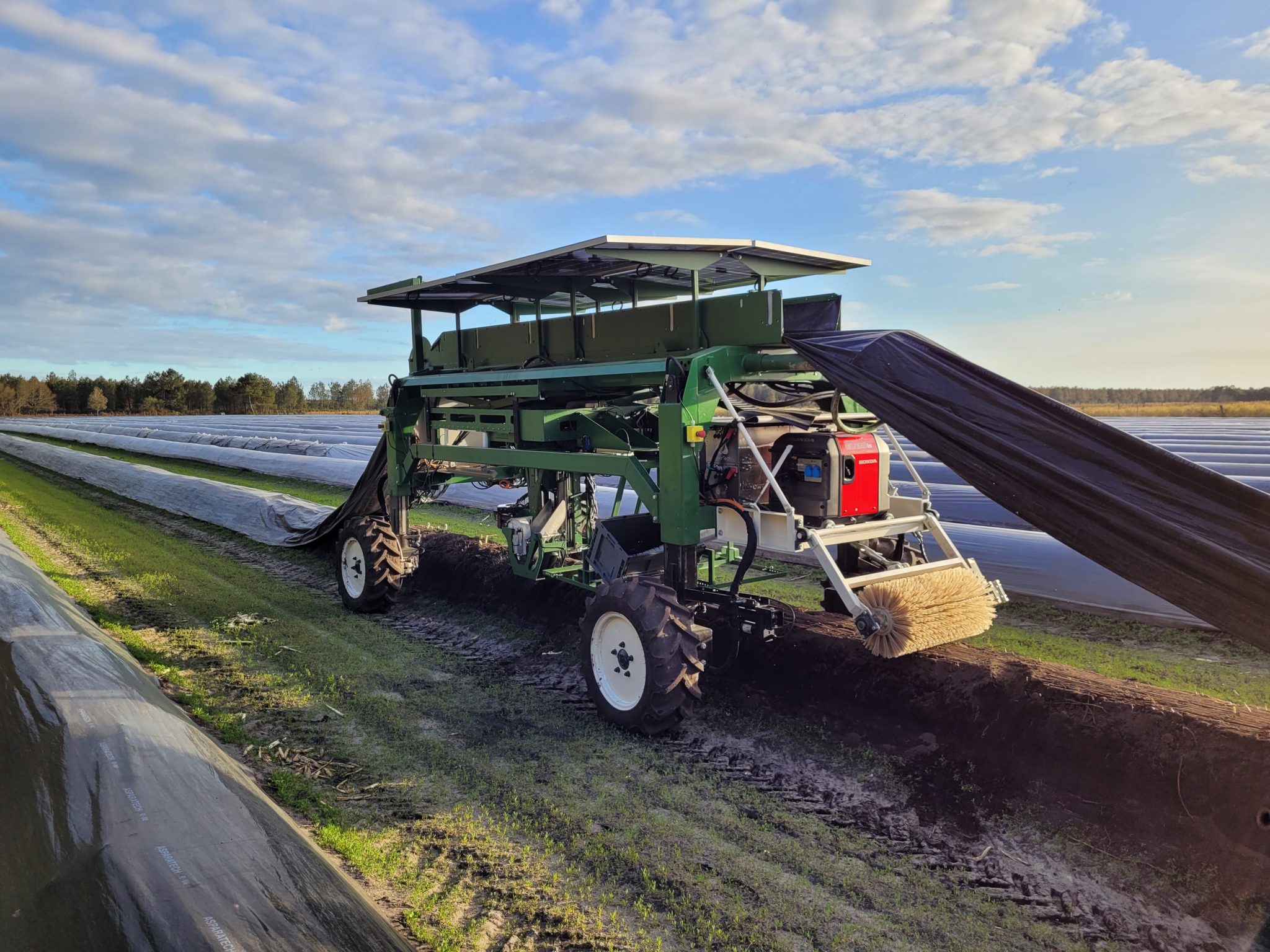 The white asparagus harvesting robot Sylektis