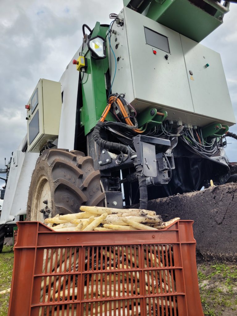 Les asperges n'ont qu'à bien se tenir