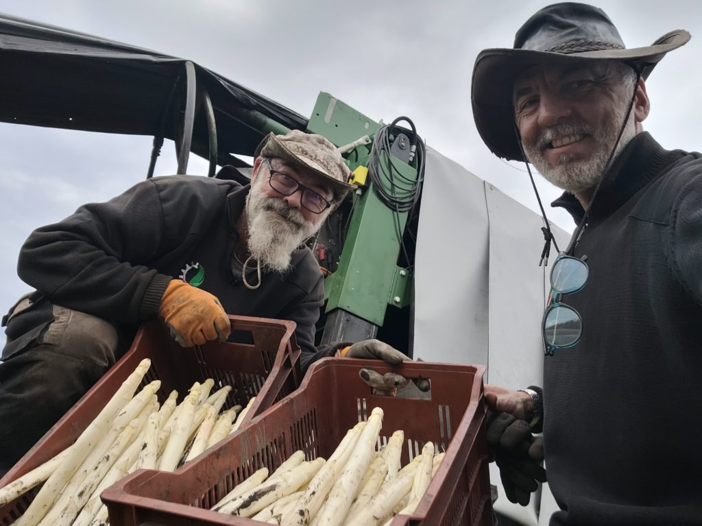Qu'elles sont belles ces asperges